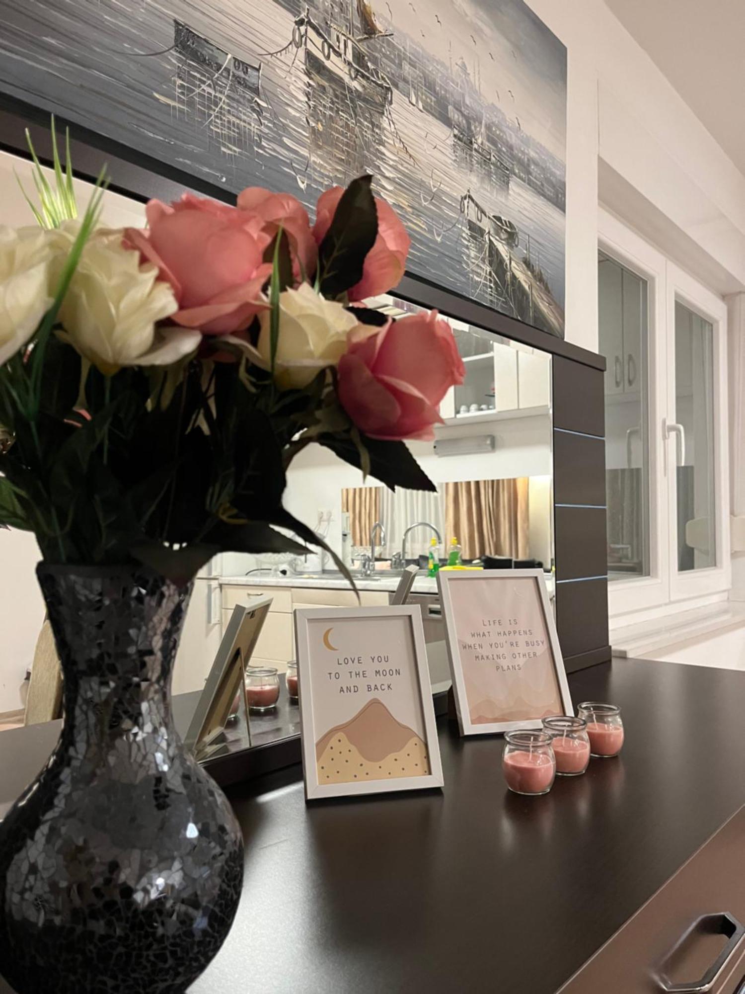 Ilidza Luxury Apartment 塞拉耶佛 外观 照片